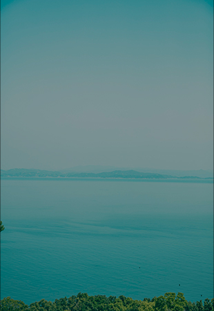 pic_about_01